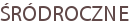 ŚRÓDROCZNE