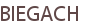 BIEGACH