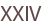 XXIV