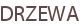 DRZEWA