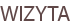 WIZYTA