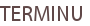 TERMINU