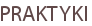 PRAKTYKI