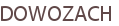DOWOZACH