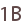 1B