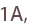 1A,
