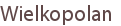 Wielkopolan