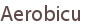 Aerobicu