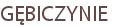 GĘBICZYNIE